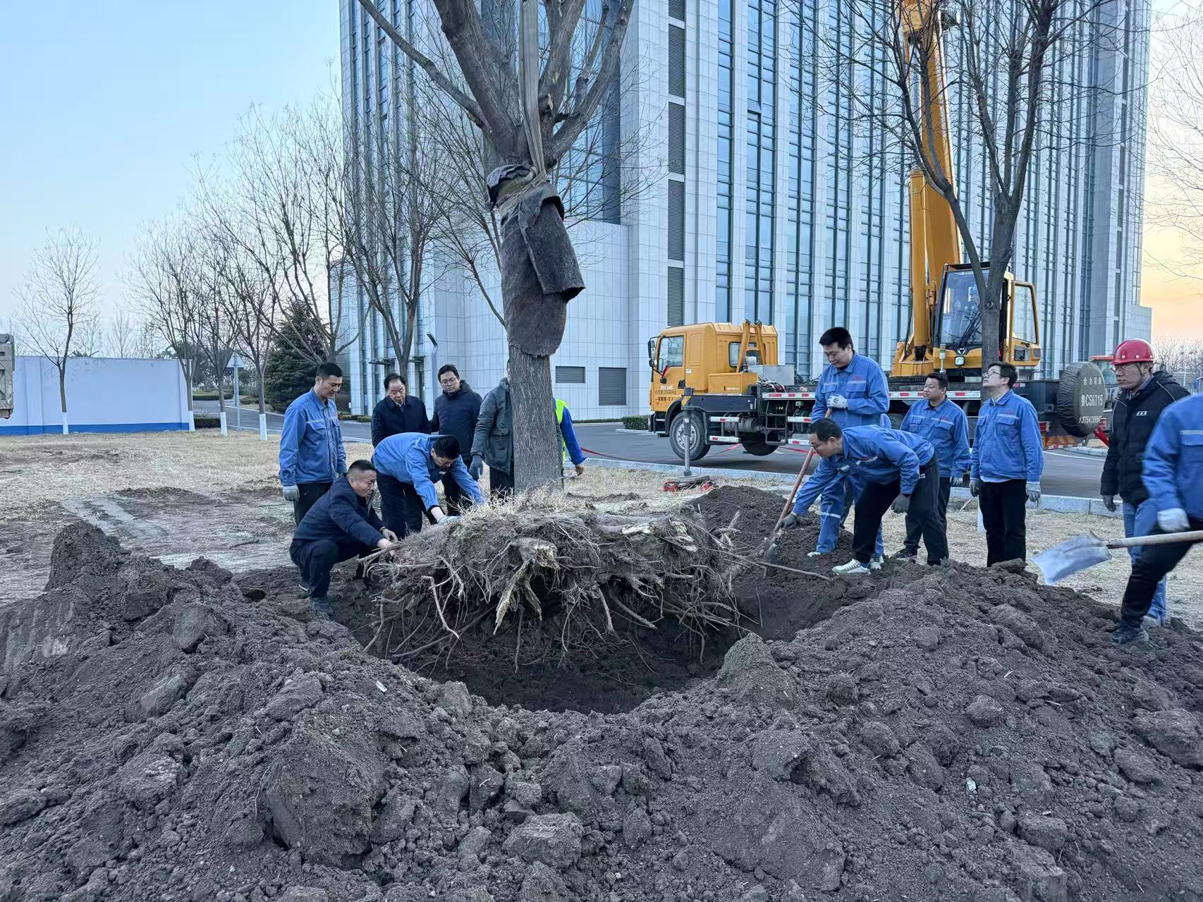 2025年3月1日齊峰干部職工合力栽下新春第一樹